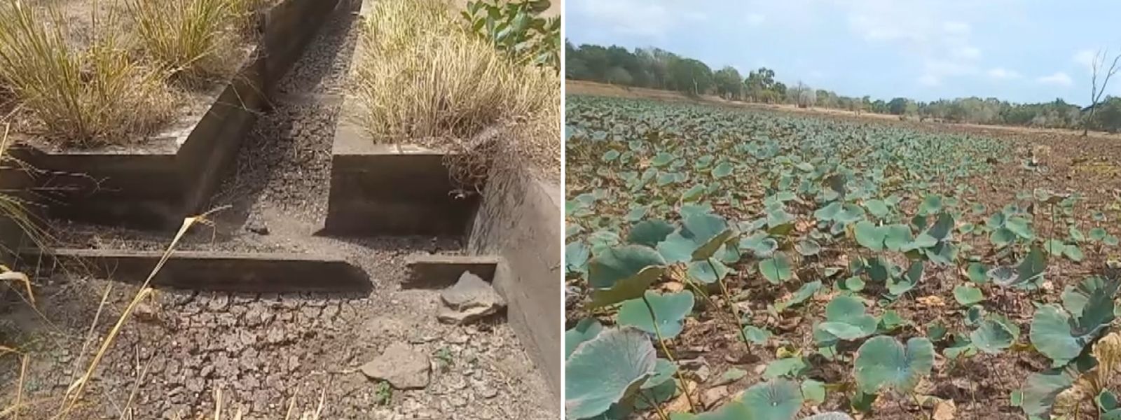 68,041 People Affected By Dry Weather Conditions